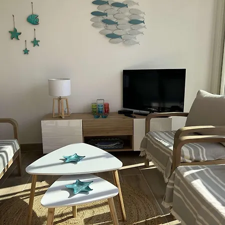 Apartmán T2 Avec Cabine, Terrasse Et Climatisation A Saint Pierre La - Fr-1-229d-156